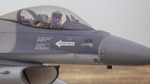 Șeful Armatei: În NATO au fost patru situații în care au fost doborâte drone, două au fost rezolvate cu piloți români / O să propun ca pilotul să fie decorat, dacă nu primește Ordinul Național îl decorez eu