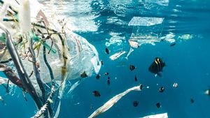Chiar şi plasticele biodegradabile reprezintă o ameninţare la adresa ecosistemelor marine, arată un nou studiu