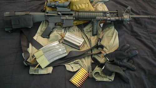 Suedia restricţionează accesul la arme semiautomate pentru vânătoare