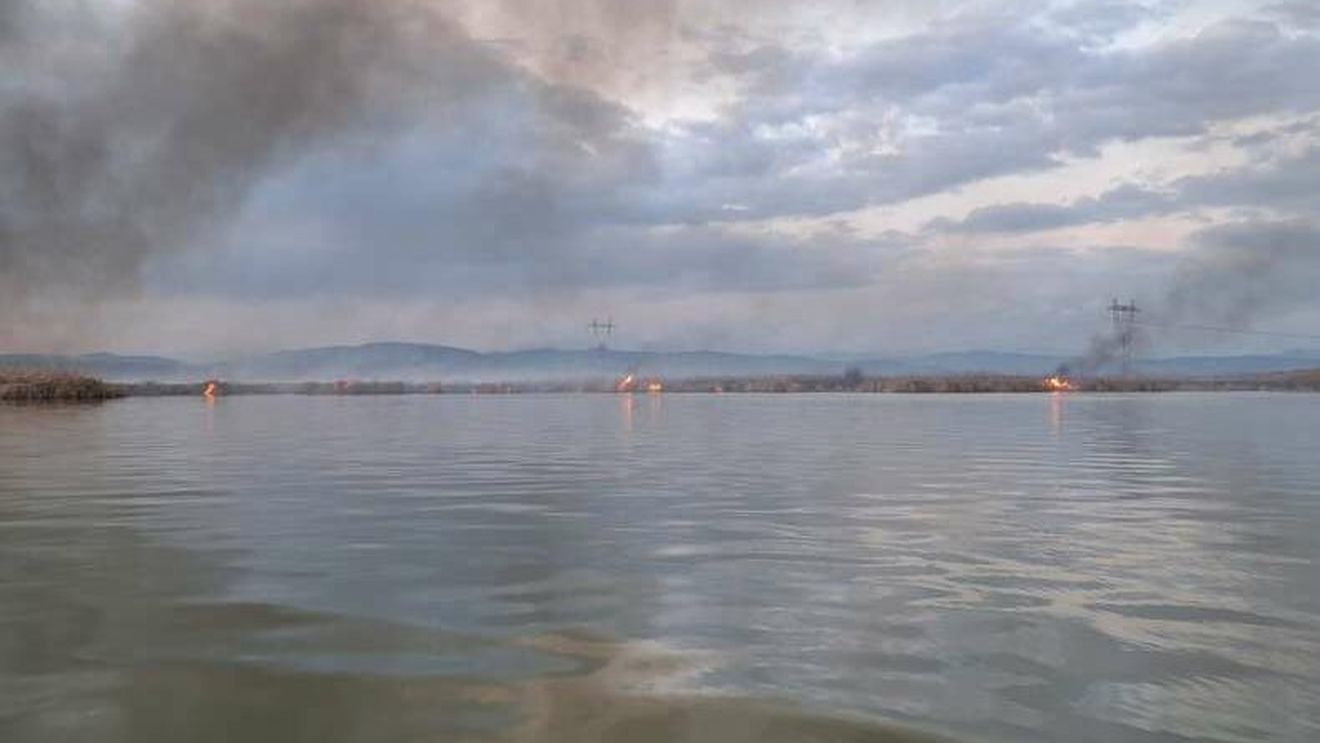 Vâlcea: Incendiu de vegetație pe o insulă, la confluenţa râurilor Olt şi Bistriţa / Intervenţie extrem de dificilă a pompierilor