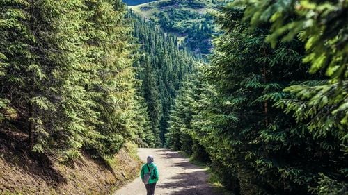 Orașul din România de două ori mai mare decât Bucureștiul. În apropiere este lacul cu forma de harta României