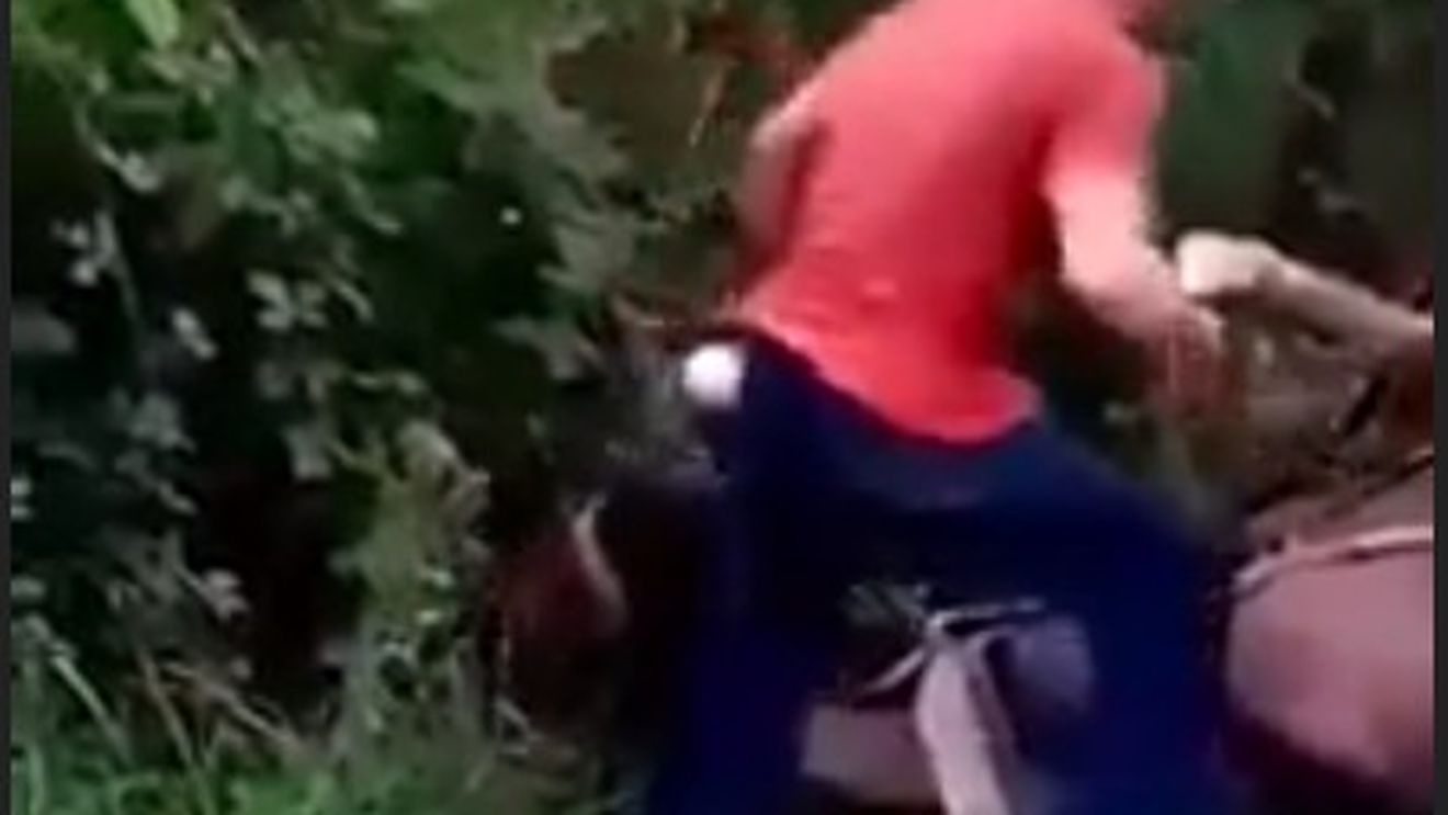Vâlcea: Un bărbat își bate calul legat la căruță până când animalul cade la pământ, plin de sânge