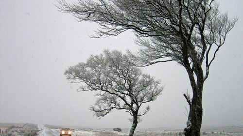 De duminică se răcește vremea / Temperaturile vor scădea până la minus 20 de grade în depresiunile din Transilvania / ”Vor fi valori mai scăzute chiar și decât ar trebui să avem acum”