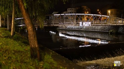 Instalația „Te aștept” amplasată în Cluj a fost vandalizată / „A suferit pagube ireparabile” / A fost aruncată în râul Someș