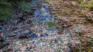 Ministrul Mediului: Sistemul de Garanţie-Returnare ar urma să genereze o rată de colectare a ambalajelor de peste 90% din 2026 / ”Apare o nouă formă de relief, adică munţii de gunoaie şi gropile de gunoi, pentru că generăm şase milioane de tone de deşeuri anual”
