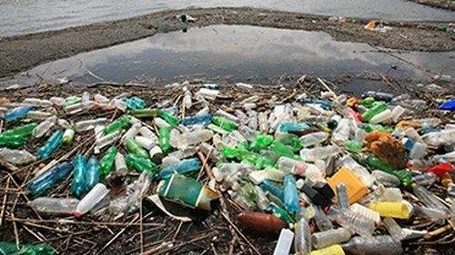 Mișcare cu impact major în economie: Comisia Europeană ia în calcul interzicerea ambalajelor din plastic