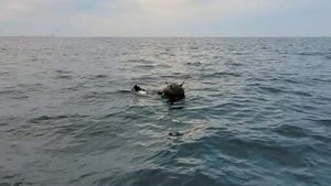 Ministerul Apărării contrazice Rusia privind proveniența minelor din Marea Neagră: Situația creată de minele marine în derivă are la origine exclusiv acțiunile Federației Ruse împotriva unui stat suveran și independent, Ucraina