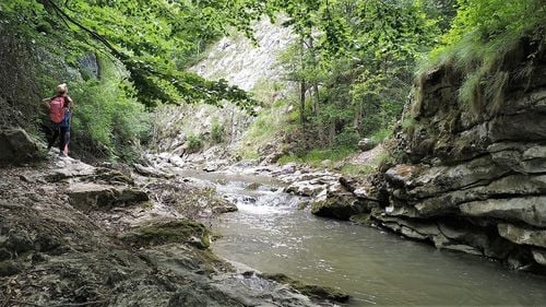 FOTOGALERIE Cinci destinații de turism puțin cunoscute din România: De la străvechile recifuri transformate în Cheile Dobrogei la Palatele Art Nouveau din Oradea