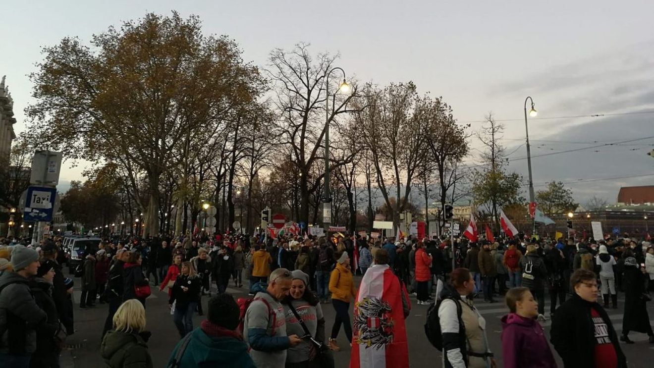 Peste 35.000 de persoane au participat la manifestaţia anti-vaccin de la Viena
