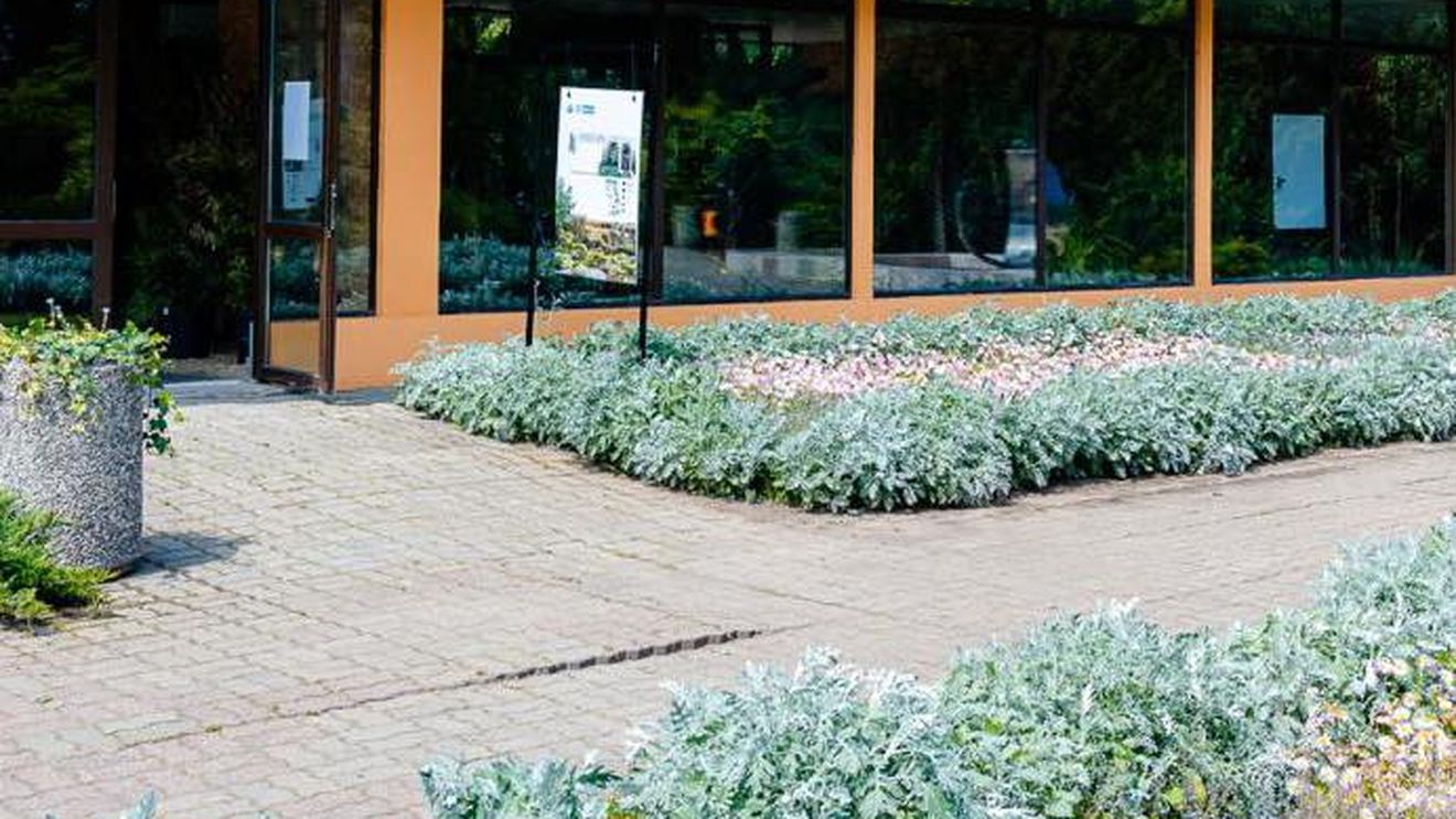 Evenimentul de Paşte „Tradiţii şi Flori de Sărbători” începe pe 12 aprilie, în Parcul Regele Mihai I din București