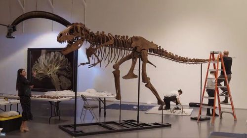 Două schelete de dinozauri reconstruite sunt scoase la licitație în New York