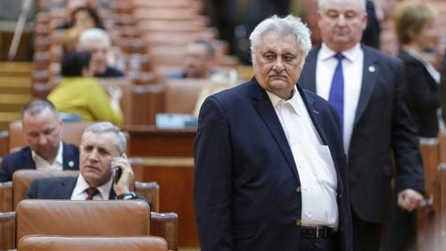 Forumul Democrat al Germanilor cere CNCD pedepsirea deputatului PSD Nicolae Bacalbașa, care i-a spus deputatului USR Stelian Ion că este ”untermensch”