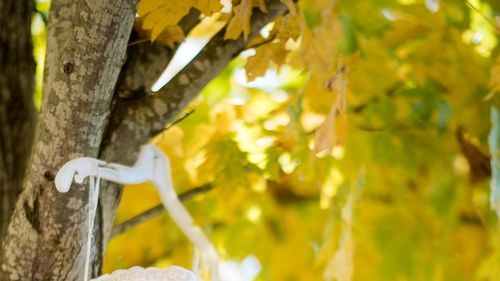 Contrabandă cu rochii de mireasă din Ucraina / Au fost confiscate cu tot cu microbuzul cu care erau transportate