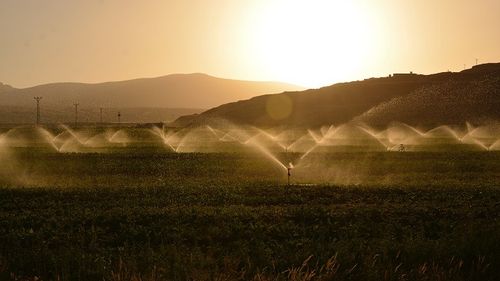 Agricultorii susțin că lipsa apei de irigat creează situaţii tensionate în toată ţara