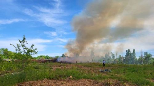 Incendiu de vegetație uscată și gunoi menajer în Parcul Grozăvești din Capitală/ Pompierii intervin pe o suprafață de 1000 de mp/ A fost emis mesaj RO-Alert