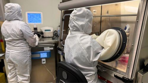 Banca Centrală de Celule Stem REGINA MARIA, prima bancă din România autorizată să fabrice medicamente de terapie avansată pentru studii clinice