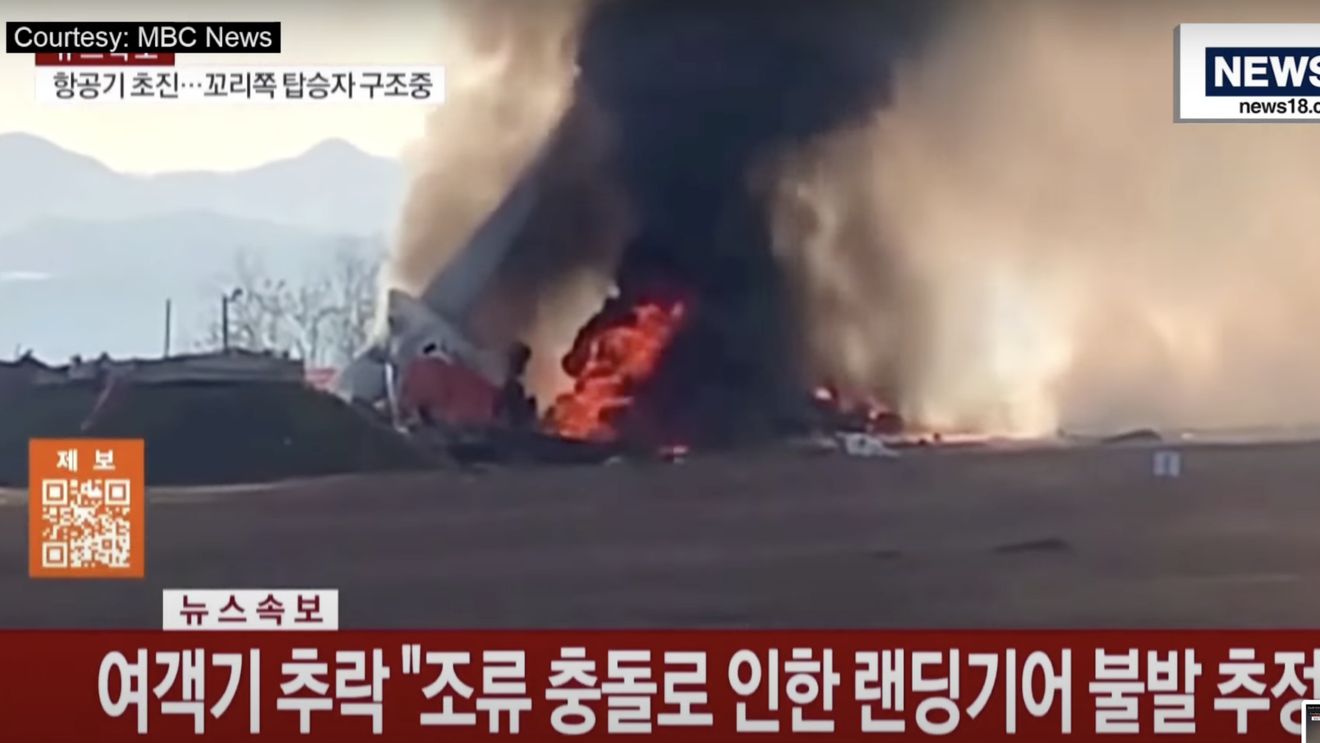Anchetatorii au găsit pene în ambele motoare ale avionului prăbuşit ce aparţinea companiei sud-coreene Jeju Air
