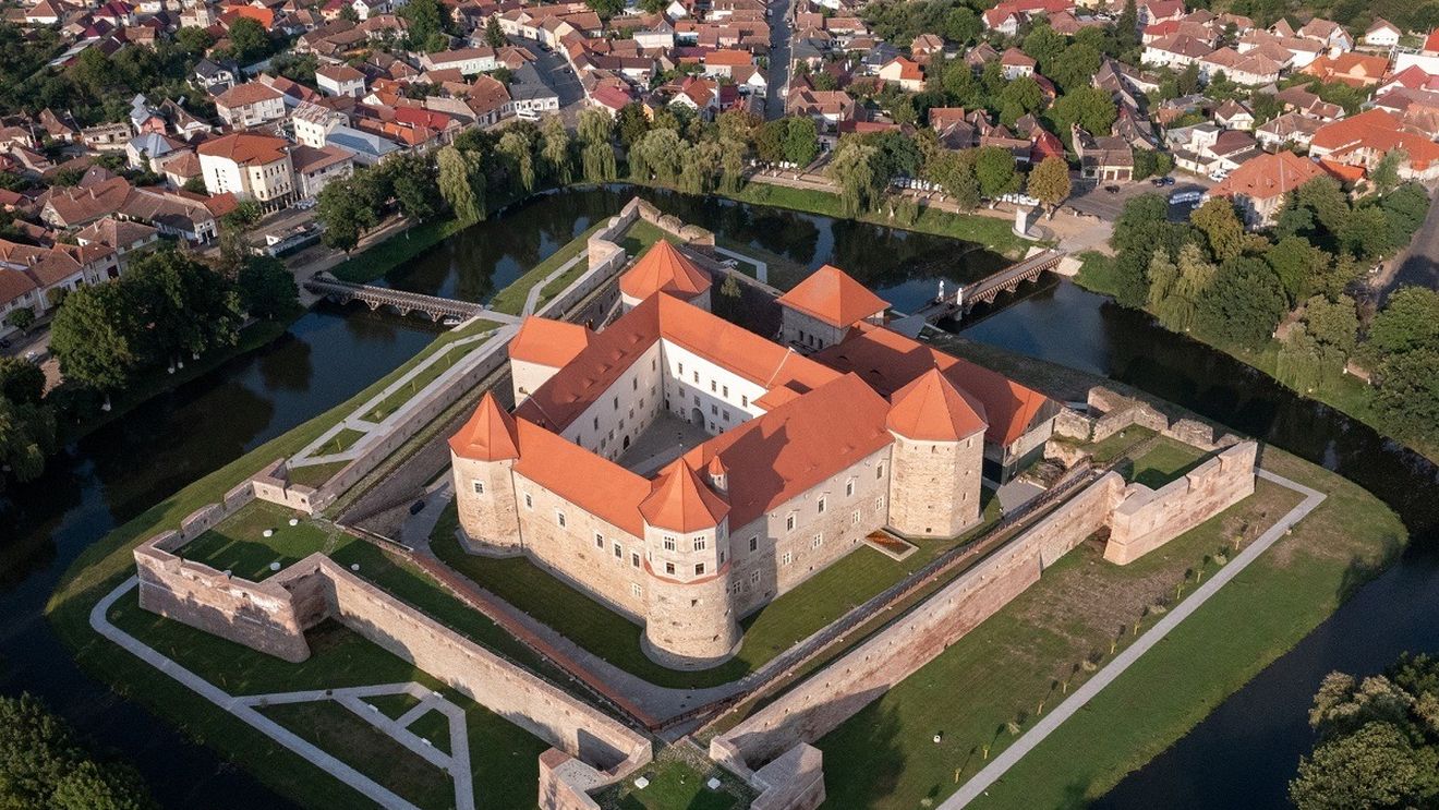 Pe lacul Cetății Făgărașului pot fi admirate, din nou, lebede