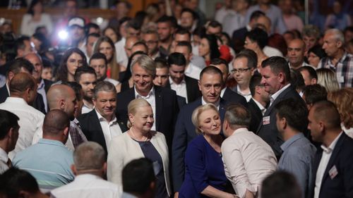 PSD-ismul dinastic: cum și-au angajat liderii partidului copiii la stat