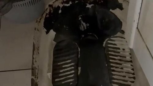 VIDEO UPDATE În ce condiții stau sportivii de performanță ai României în cantonamente sau la meciurile din Constanța / Imagini cu WC-uri turcești, rugină, saltele și lenjerie murdare din hotelurile Sport și Flămânda / Au fost închise de Protecția Consumatorilor