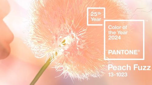 Culoarea anului 2024 este „Peach Fuzz”, simbol al compasiunii şi conexiunii umane