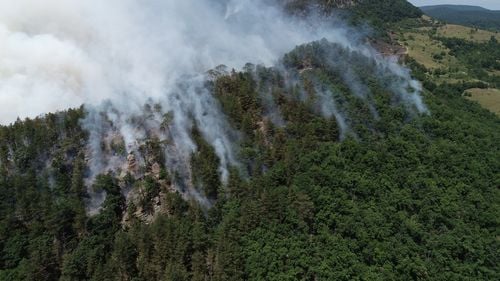 Număr record de incendii în acest an în pădurile administrate de Romsilva / Pagube de peste 3,6 milioane de lei
