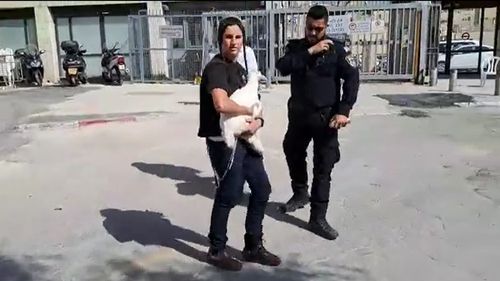 Israel: Poliția a reținut mai multe persoane care încercau să ducă animale pe Muntele Templului pentru a le sacrifica