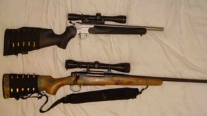 În urma perchezițiilor în mai multe județe, au fost indisponibilizate 10 arme, dintre care 5 de vânătoare și 4 arme lungi cu aer comprimat şi un pistol neletal cu gaze