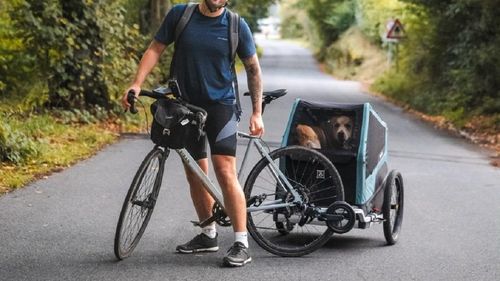 Maratonul care schimbă destine: Un fost militar pornește într-o cursă de 700 km pentru a promova adopția câinilor