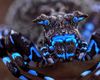 FOTO | Descoperire spectaculoasă în Angola: Cercetătorii au identificat zeci de specii noi, inclusiv un păianjen fluorescent
