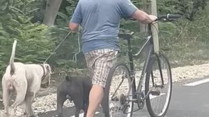 Un argeșean care și-a plimbat câinii fără botniță a primit amendă