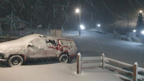 Mai mulţi turişti sunt blocaţi în staţiunea Padiş după ce a nins toată noaptea, iar drumurile sunt înzăpezite/ Strat de zăpadă de 40 de centimetri