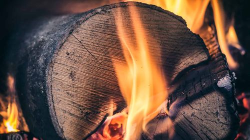 Coaliția PSD-ALDE vrea să scumpească lemnul de foc pentru populație folosind argumente false. Realitatea din teren contrazice teoria Puterii