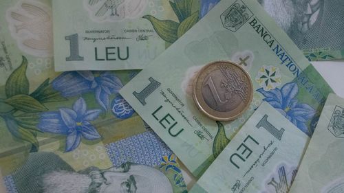 Leul crește ușor joi în raport cu euro / Purtătorul de cuvânt al BNR: În perioada următoare probabil vom asista la variaţii ale cursului, în ambele direcţii