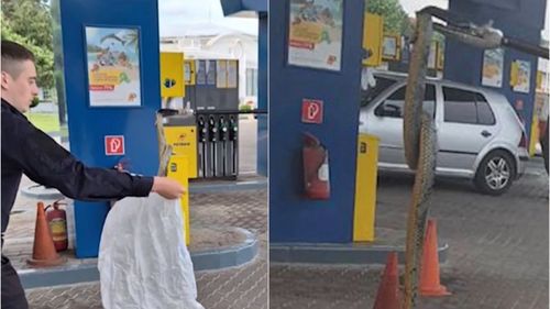 Un șarpe, blocat în cablurile de alimentare a unei pompe de benzină / Jandarmii din Mehedinți au îndepărtat reptila de 1,5 metri / Un alt șarpe a fost găsit în cartierul Mănăștur din Cluj-Napoca