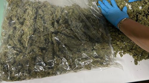Traficant de droguri prins de polițiști în trafic, în Satu Mare / Era drogat și avea acasă peste un kilogram, de canabis