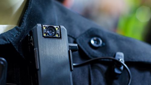 Senatul adoptă iniţiativa legislativă USR prin care pădurarii vor fi dotaţi cu body-cam / ”Nu trebuie să mai fie vulnerabil în faţa celor care fură lemn”