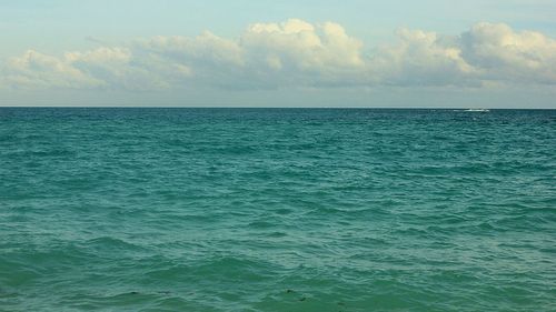 Un canotor lituanian a fost salvat în plină traversare solitară a Oceanului Pacific / Voia să atragă atenția asupra războiului din Ucraina