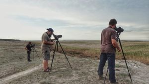 În primul weekend din octombrie, se numără păsările / Observarea migraţiei de toamnă devine o tradiţie şi în România