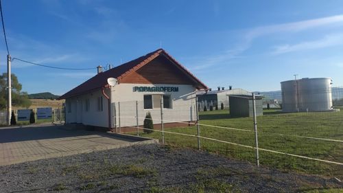 VIDEO-FOTO | De la o facultate de profil și apoi joburi în construcții la ferma de porci/ Silviu Pop (director Popagroferm) și evoluția de la „sigur animalele astea nu mușcă?” la 25.000 de purceluși pe an