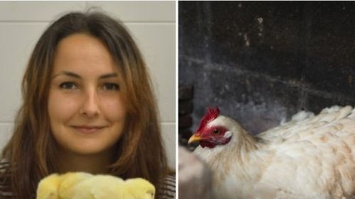 O tânără cercetătoare a obținut o sumă astronomică de la UE pentru a afla ce gândesc cele mai subestimate păsări de companie: găinile. În ce constă studiul de 4 milioane de euro