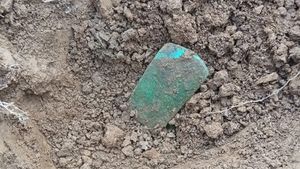 Bucăți din topoare celtice din Epoca Bronzului, vechi de 3.000 de ani, descoperite într-o pădure din Bihor