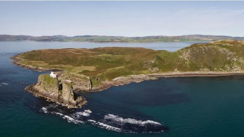 Locuitorii unei insule din Alaska folosesc unt de arahide şi lumini negre pentru a găsi un şobolan. Rozătoarele pun în pericol păsările de pe insulă