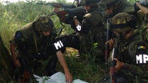 România, cea mai mare creştere procentuală a cheltuielilor militare în 2017, Rusia - scădere majoră