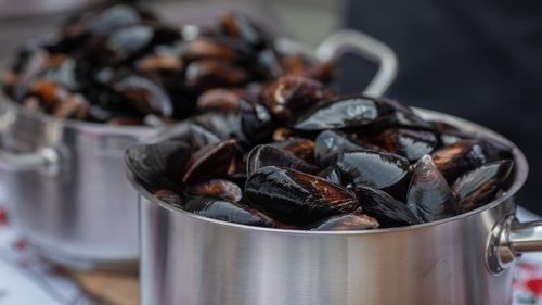 Recoltarea de scoici și rapane în Marea Neagră a fost interzisă / Analizele de apă au arătat că poluarea atinge valori crescute și există risc pentru consum / Hrana scoicilor ar putea fi toxică