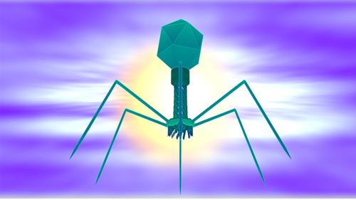 Tratamentele cu virusuri bacteriofage, posibilă soluție pentru a contracara utilizarea abuzivă a antibioticelor