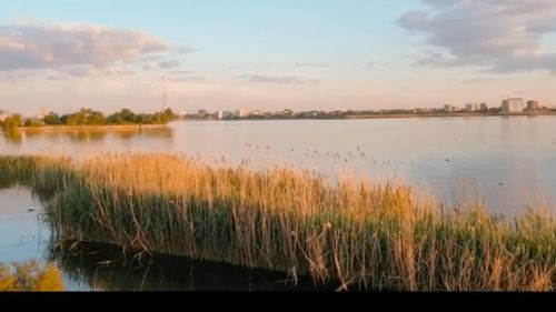 100 de voluntari bucureșteni ies sâmbătă să igienizeze digul și insula Lacul Morii din Sectorul 6