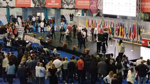 Bucureștiul a fost capitala mondială a pisicilor. Eleganță, emoție și blănițe de campion la FIFe World Winner Show 2025: „Nu am crezut că o pisică poate fi atât de expresivă” (VIDEO)