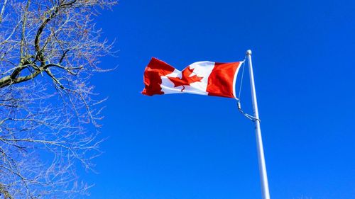 Tensiuni la granița Canada-SUA. Canadienii încearcă să stopeze intrarea ilegală în țară a americanilor