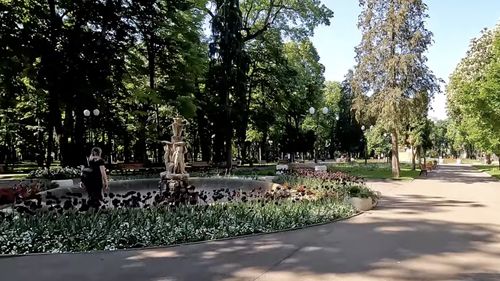 Două persoane au fost rănite după ce o creangă a căzut peste ele, în Parcul Copou din Iași